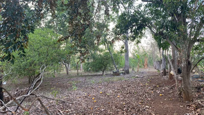 VENTA DE LOTE, ALAJUELA, OROTINA, COYOLAR in Orotina, Alajuela — ₡ 185 000 000
