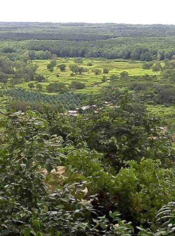 FINCA DE 63 HECTÁREAS EN OSA, CIUDAD CORTÉS, PUNTARENAS, COSTA RICA. en Puerto Cortés, Osa, Puntarenas — ₡ 252 000 000