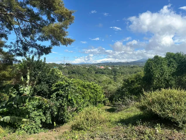 Venta - Terreno de 13.400 m2 en San Miguel, Santo Domingo, Heredia — $1,100,000 - Foto 3 de 14