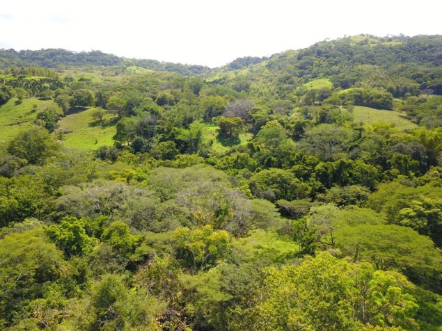 Hermosa finca en lugar súper tranquilo y a 45 minutos de la costa in Zapotal, Nandayure, Guanacaste — ₡ 135 360 000