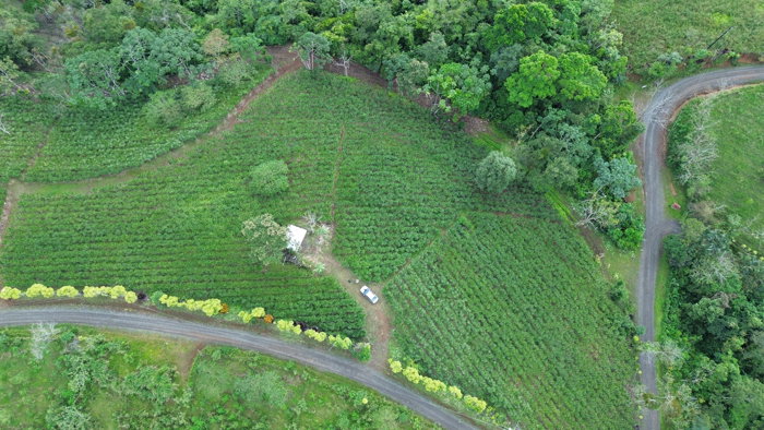 Finca Agricola Turística 5,5 Ha. in San Ramón, Alajuela — $200,000 - Photo 3 of 8