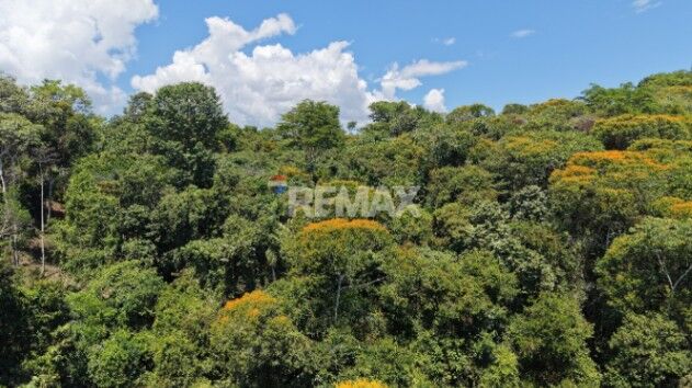 LOTE DE 1 HECTÁREA CON BOSQUE PRIVADO EN LAS MERCEDES DE CAJÓN, PÉREZ ZELEDÓN en Cajón, Pérez Zeledón, San José — $70,000