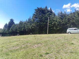 Exclusive Estates in San Juan de Poás – 2,000 m² for Only $85/m² en San Pedro, Poás, Alajuela — $171,000 - Foto 4 de 8