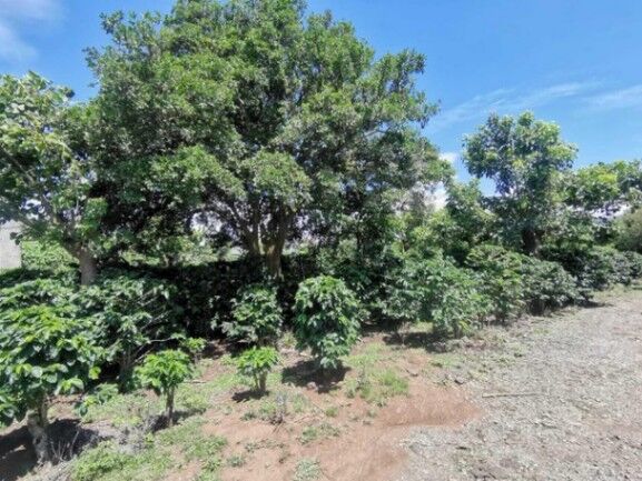 Se vende amplio terreno de 6,200m2 en Santo Tomas Heredia 26-417 in Santo Tomás, Santo Domingo, Heredia — $1,000,000