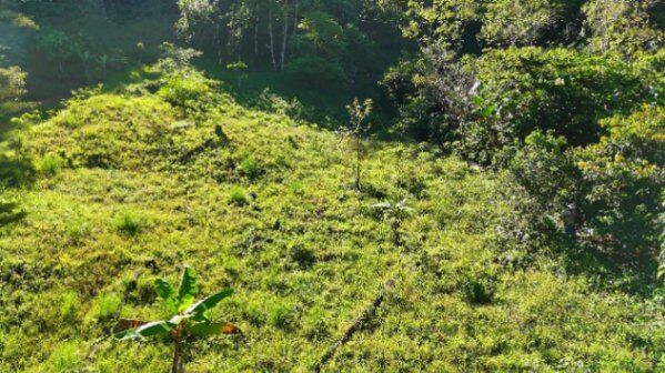 LOTE ECOLÓGICO EN REBAJA CON VISTAS IMPRESIONANTES EN RIVAS, PZ. in Rivas, Pérez Zeledón, San José — $128,900