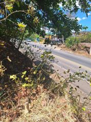 TERENO FRENTE A RADIAL ATENAS RUTA 27 en Santa Eulalia, Atenas, Alajuela — 341 250 000 ₡ - Foto 5 de 13