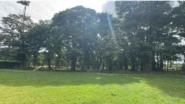 Venta de Quintas en Sarapiquí in Las Horquetas, Sarapiquí, Heredia — ₡ 140 000 000 - Photo 2 of 10
