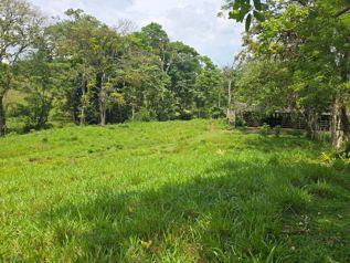 GRAN FINCA GANADERA DE 225,5 HECTÁREAS EN COSTA RICA in San José, Atenas, Alajuela — 3 800 000 ₡ - Photo 5 of 13