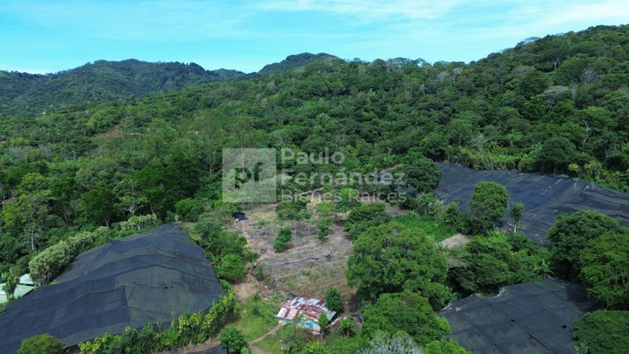 Terreno Agrícola / Comercial - Santiago, Palmares (8,949m²) in Santiago, Palmares, Alajuela — ₡ 143 184 000