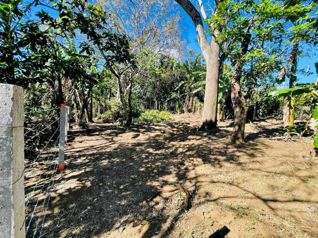 Terreno listo para construir en San Juan de Santa Barbara en San Juan, Santa Bárbara, Heredia — 49 000 000 ₡ - Foto 3 de 9