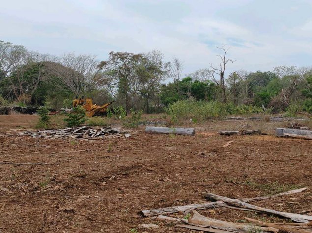 Terreno de 14 hectáreas en la Ceiba de Orotina en La Ceiba, Orotina, Alajuela — ₡ 1 410 000 000 - Foto 3 de 24