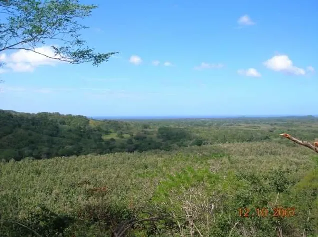 Beach lot for sale, Pinilla, Tamarindo in Tamarindo, Santa Cruz, Guanacaste — $180,000 - Photo 2 of 7