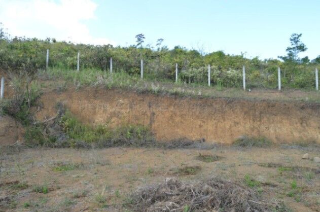 Venta de Lote en Sabana Redonda de Poás, Alajuela. RAH 26-1596 PRECIO REBAJADO en Sabana Redonda, Poás, Alajuela — ₡ 80 000 000