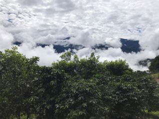 Investment land between Canan and Herradura Peréz Zeledón