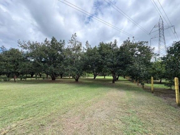 Venta de Lote en Orotina de Alajuela. RAH 26-1010 en Orotina, Alajuela — ₡ 95 020 000