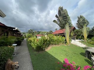 Propiedad de Inversión en Jaco Beach: Ideal para Hotel o Airbnb in Jacó, Garabito, Puntarenas — $1,200,000 - Photo 4 of 14