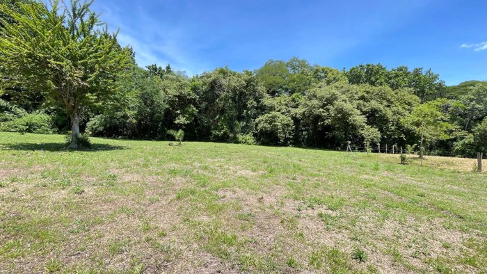 Flat 5,050 m² Lot for Sale Near Atenas in Brisas de Mora en Atenas, Alajuela — $145,000 - Foto 3 de 10