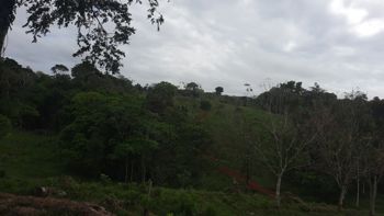 Venta de Finca Ganadera con Operación Llave en Mano en San Marcos de Cutris en Cutris, San Carlos, Alajuela — 460 000 000 ₡ - Foto 5 de 7