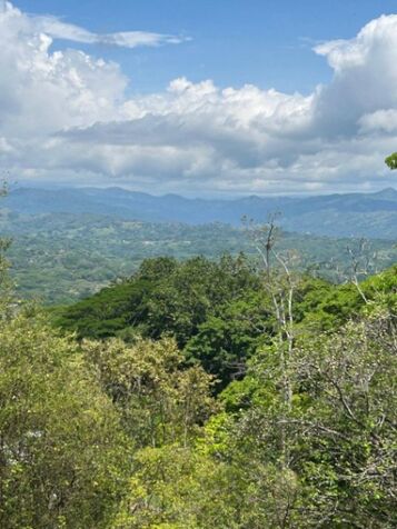 DE OPORTUNIDAD ESPECTACULAR FINCA EN ATENAS, ALAJUELA.  en Atenas, Alajuela — ₡ 45 000 000