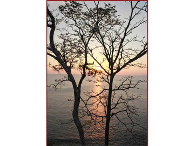 AMAZING DEVELOPMENT OPPORTUNITY IN PUNTA LEONA en Puntarenas — $2,900,000 - Foto 3 de 5