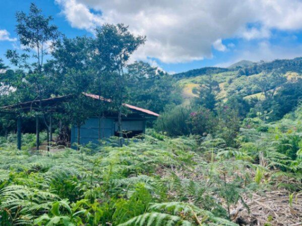 MLS-25-1691 LS VENTA LOTE BARVA HEREDIA en Barva, Heredia — $230,000