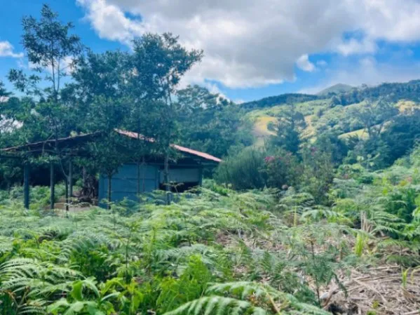 MLS-25-1691 LS VENTA LOTE BARVA HEREDIA in Barva, Heredia — $230,000 - Photo 2 of 5
