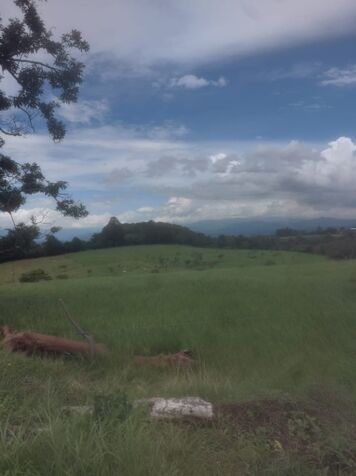 FINCA EN POAS DE ALAJUELA - FINANCIAMIENTO DIRECTO  en San Pedro, Poás, Alajuela — $2,400,000