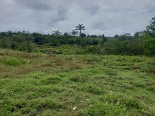 Finca con Casa Cabaña en Paraíso de Cajón, Pérez Zeledón en Cajón, Pérez Zeledón, San José — $350,000 - Foto 4 de 20