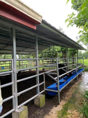 VENTA DE QUINTA , ALAJUELA, SAN CARLOS, POCOSOL en Pocosol, San Carlos, Alajuela — ₡ 160 000 000