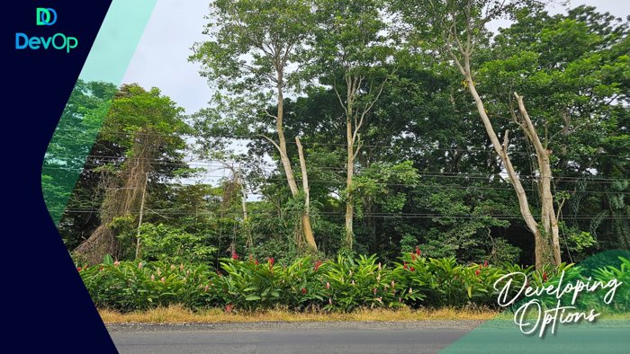 🟢 VENTA | Lotes Titulados | Cahuita | US$22/m² en Cahuita, Talamanca, Limón — $152,416 - Foto 3 de 5