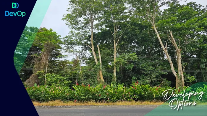 🟢 VENTA | Lotes Titulados | Cahuita | US$22/m² in Cahuita, Talamanca, Limón — $152,416 - Photo 3 of 5