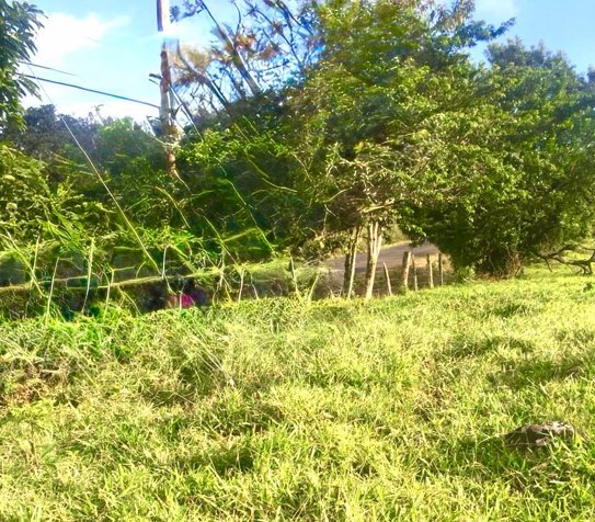Venta de Lote en Tilarán | 11.694 m²  posibilidad crear 14 lotes in Tierras Morenas, Tilarán, Guanacaste — $150,000
