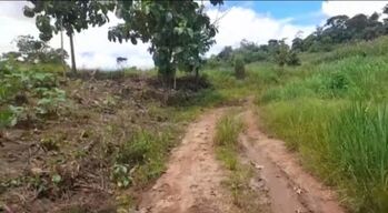 DE OPORTUNIDAD BELLA FINCA EN SAN JOSÉ DE UPALA.  en San José, Upala, Alajuela — 129 000 000 ₡ - Foto 4 de 15