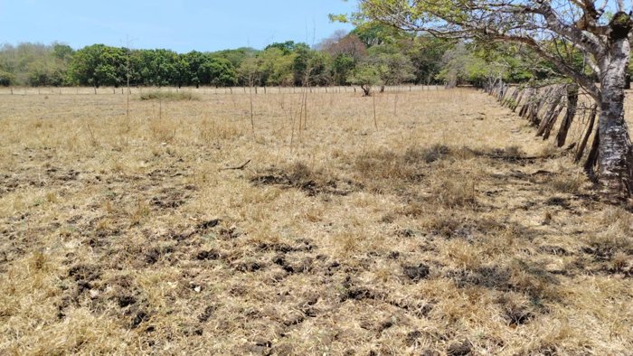 Venta de lote en Guanacaste, Santa Cruz, 27 de abril in Cuajiniquil, Santa Cruz, Guanacaste — ₡ 33 000 000 - Photo 3 of 11