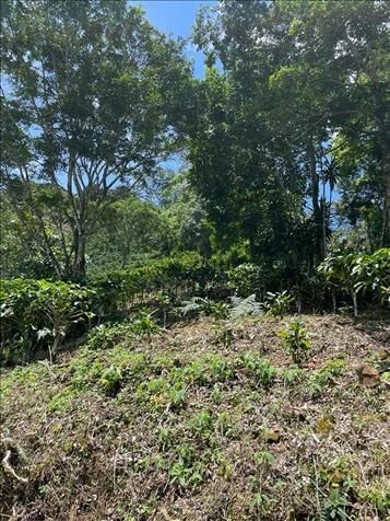 ESPECTACULAR FINCA EN PALMICHAL DE ACOSTA, S.J. en Palmichal, Acosta, San José — ₡ 35 000 000