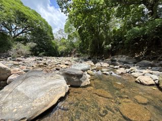 Venta de Lote de 39.776,03 M², Uso para Desarrollo, Orotina, Alajuela
