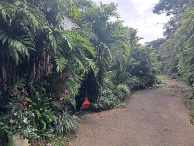 SE VENDE BELLÍSIMA PROPIEDAD EN FRAIJANES DE ALAJUELA.  en Sabanilla, Alajuela — ₡ 250 000 000