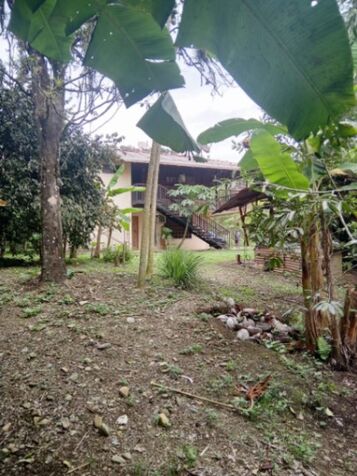 Finca en Limón- se vende por vivir en el extranjero in Río Blanco, Limón — ₡ 95 000 000