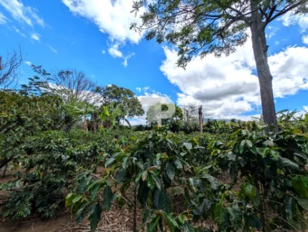 SE VENDE FINCA BIRRÍ SANTA BÁRBARA HEREDIA SCG15 en Barva, Heredia — ₡ 253 000 000 - Foto 3 de 17