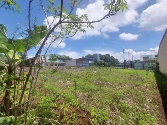 Se vende lote plano de 501m2 en Atenas Alajuela 25-1969 en Atenas, Alajuela — ₡ 50 000 000