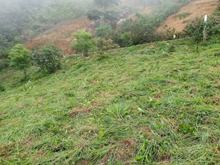 Lote en venta en Piedades Sur, San Ramón | 713 m² in Piedades Sur, San Ramón, Alajuela — 17 500 000 ₡ - Photo 5 of 8