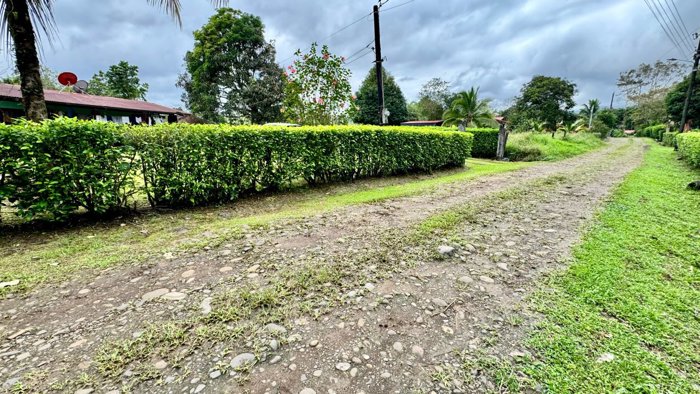 VENTA DE HERMOSA FINCA EN LA TIGRA SAN CARLOS en La Tigra, San Carlos, Alajuela — ₡ 84 000 000 - Foto 2 de 26