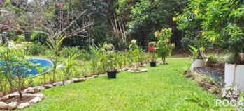 Hermosa propiedad en venta en Miravalles de Pérez Zeledón en Rivas, Pérez Zeledón, San José — $310,000 - Foto 4 de 9