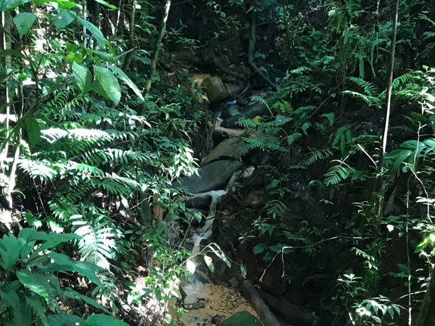 Private mountain with facilities for development in Chimirol Rivas en Alajuela — $120,000
