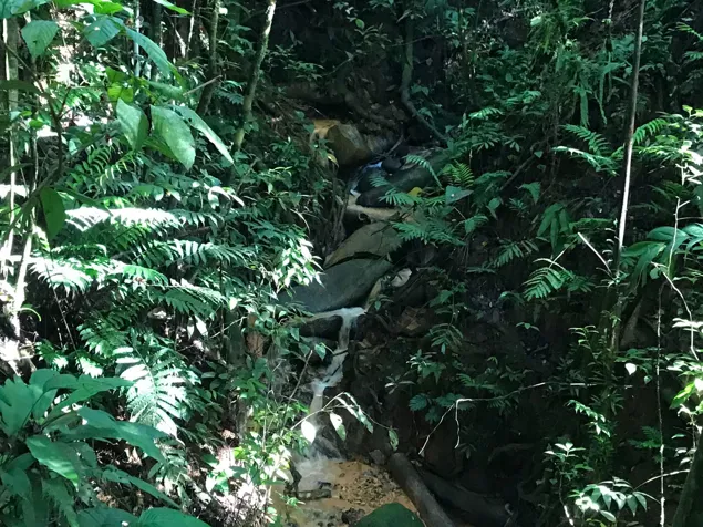 Private mountain with facilities for development in Chimirol Rivas en Alajuela — $120,000
