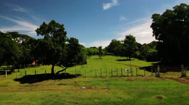 DE OPORTUNIDAD BELLA FINCA EN SAN MATEO, ALAJUELA.  en San Mateo, Alajuela — ₡ 250 000 000