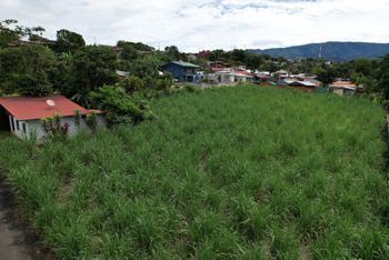 Flat Lot with Income-Generating 2-Bedroom Home in San Roque de Grecia en Grecia, Alajuela — 120 000 000 ₡ - Foto 3 de 11