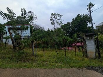 Quinta en el corazón de la tranquilidad  in Picagres, Mora, San José — 100 000 000 ₡ - Photo 5 of 10