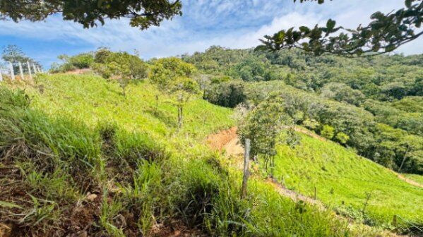 10 hectares de potrero y vista Alto de San Juan, Perez Zeledon en Barú, Pérez Zeledón, San José — $199,999