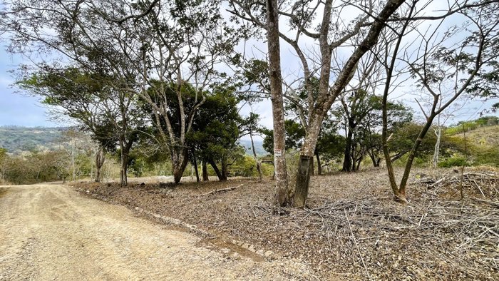 SE VENDE LOTE EN SAN PEDRO, SAN RAMON en San Isidro, San Ramón, Alajuela — $78,000 - Foto 3 de 39